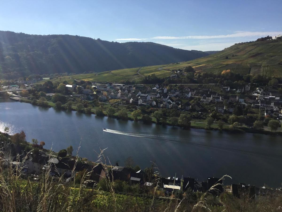 Mosel-Appartements Nehren 摩泽尔河畔的泽尔 外观 照片