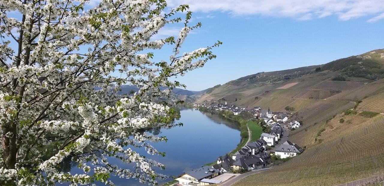 Mosel-Appartements Nehren 摩泽尔河畔的泽尔 外观 照片