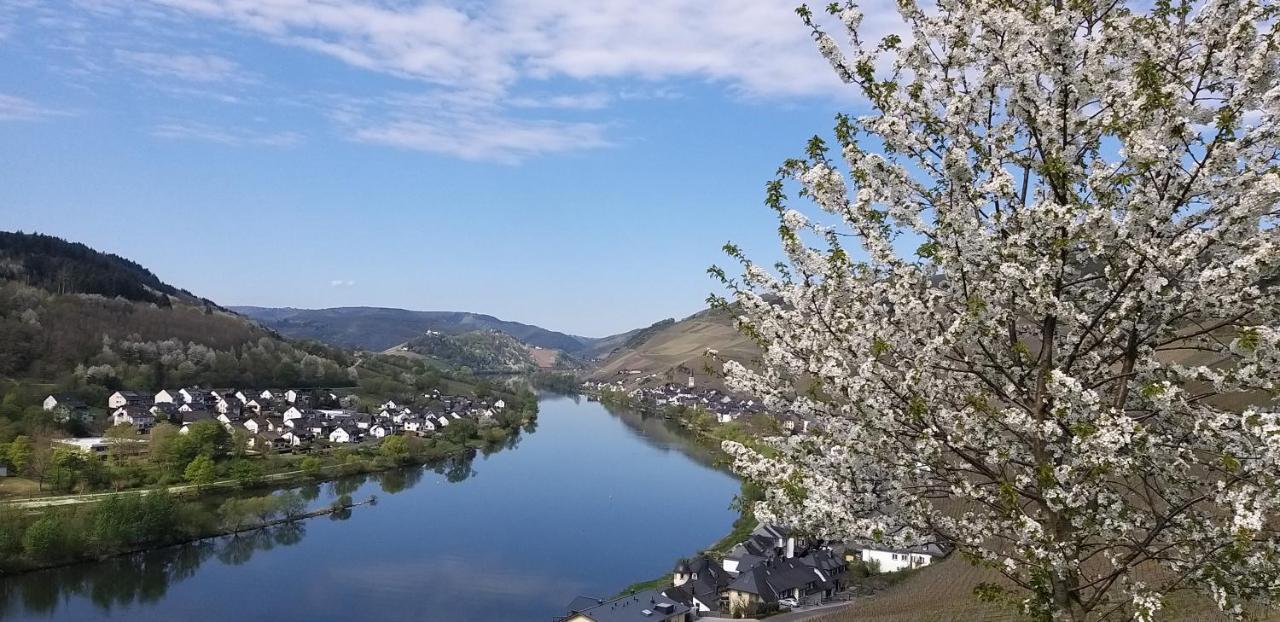 Mosel-Appartements Nehren 摩泽尔河畔的泽尔 外观 照片