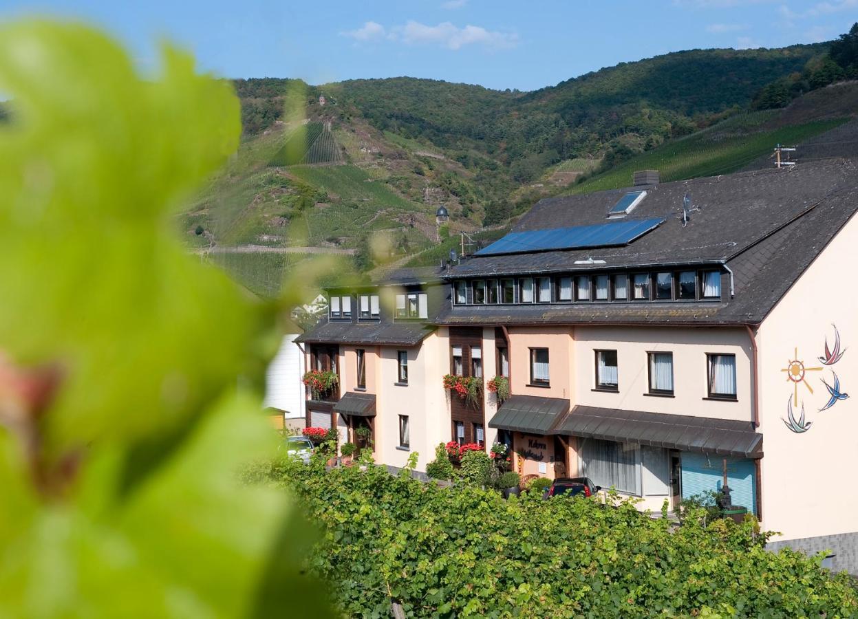 Mosel-Appartements Nehren 摩泽尔河畔的泽尔 外观 照片