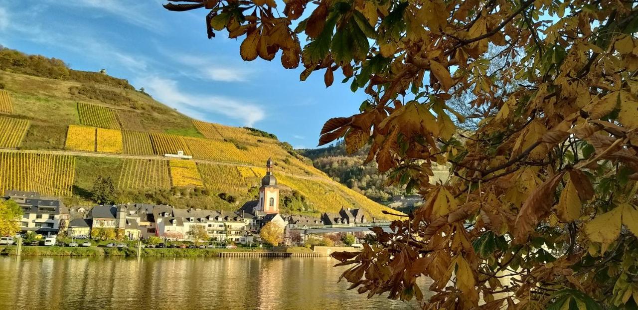 Mosel-Appartements Nehren 摩泽尔河畔的泽尔 外观 照片