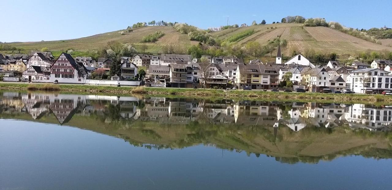 Mosel-Appartements Nehren 摩泽尔河畔的泽尔 外观 照片