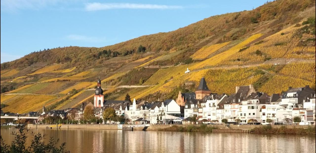 Mosel-Appartements Nehren 摩泽尔河畔的泽尔 外观 照片