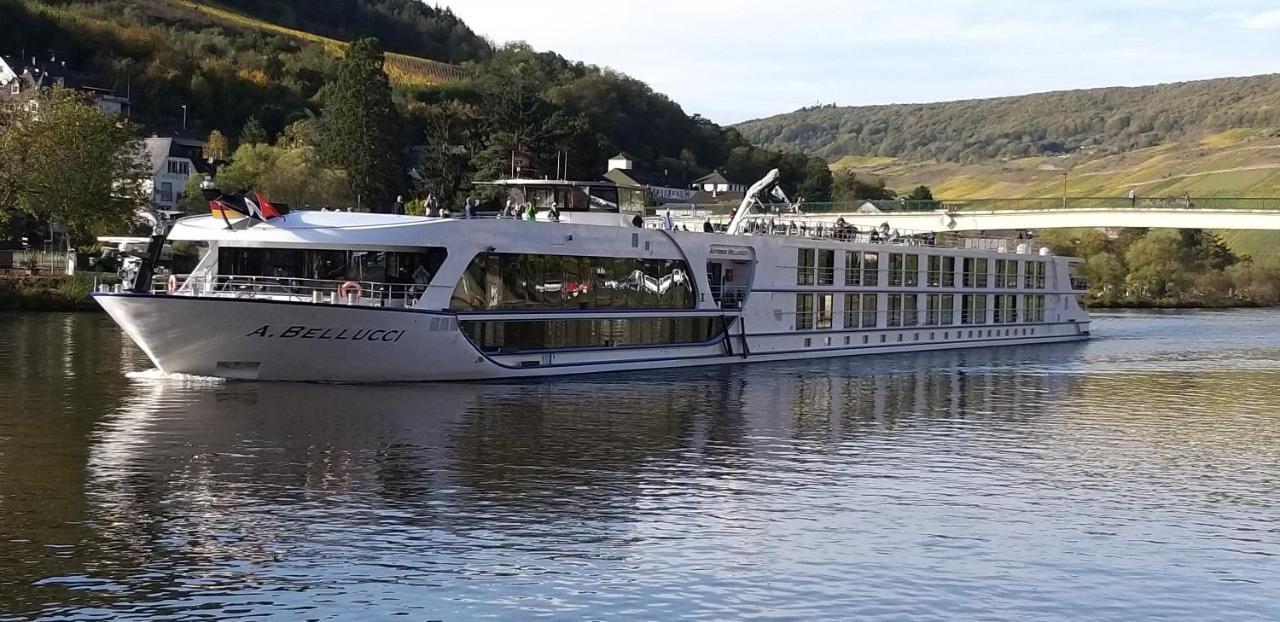 Mosel-Appartements Nehren 摩泽尔河畔的泽尔 外观 照片