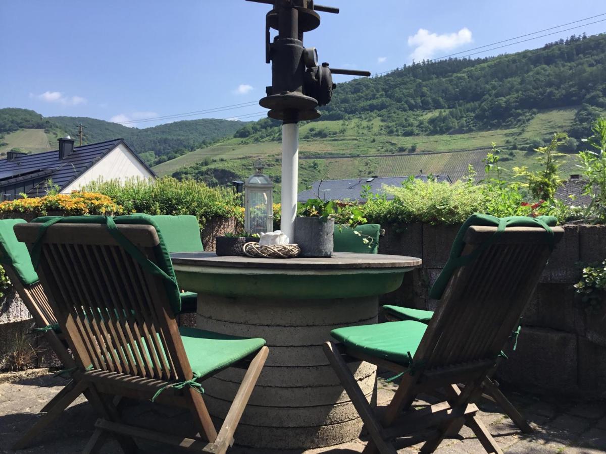 Mosel-Appartements Nehren 摩泽尔河畔的泽尔 外观 照片