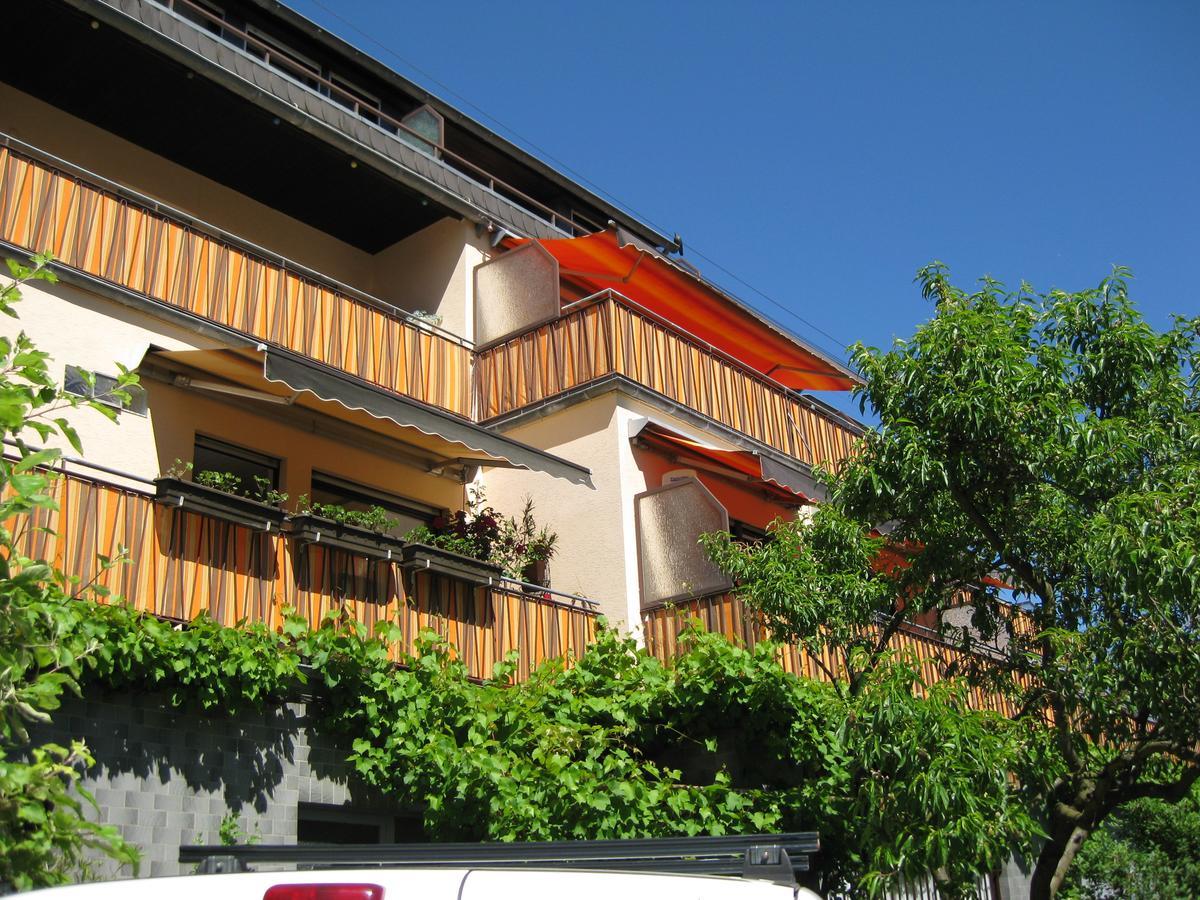Mosel-Appartements Nehren 摩泽尔河畔的泽尔 外观 照片