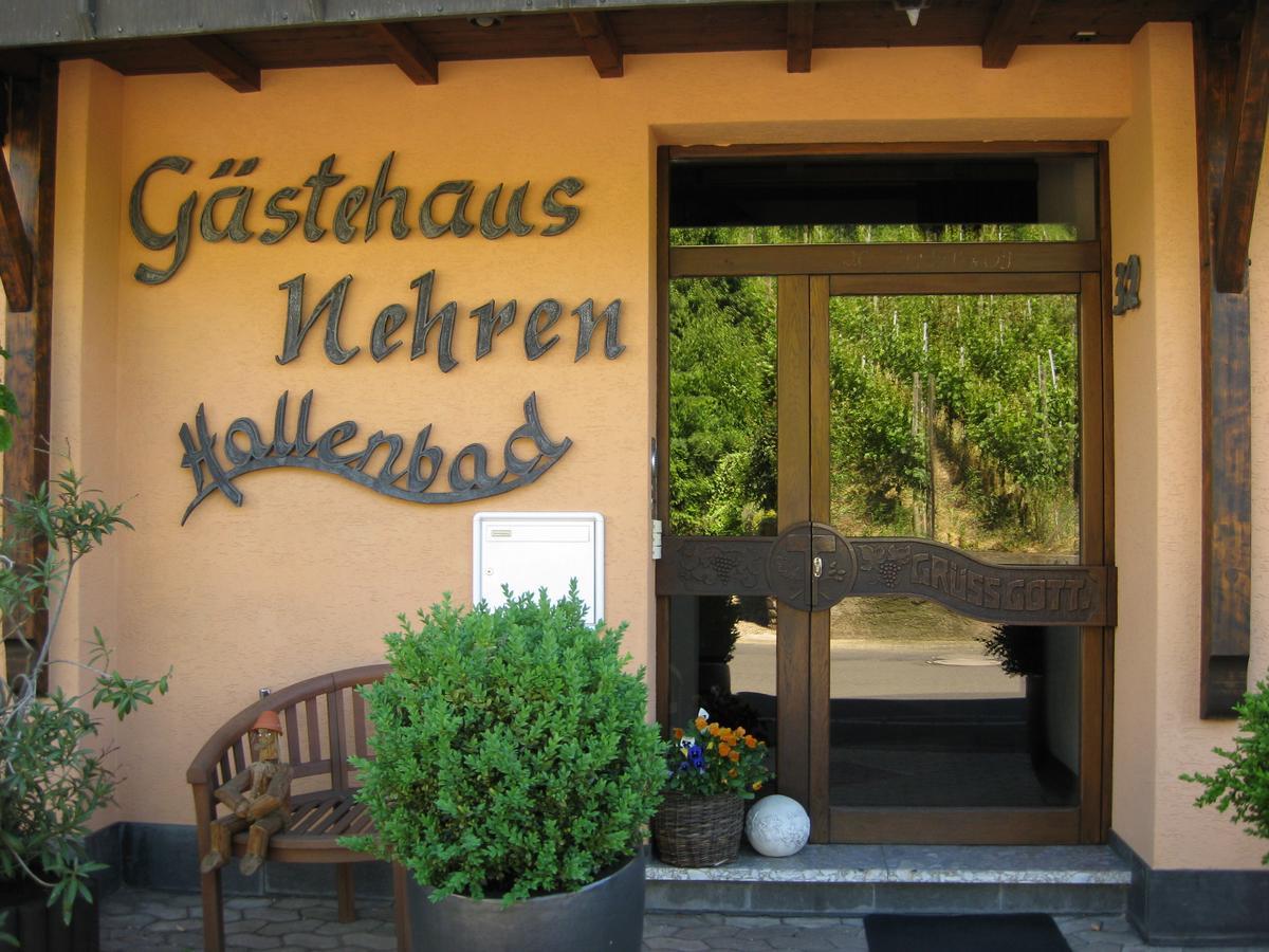 Mosel-Appartements Nehren 摩泽尔河畔的泽尔 外观 照片