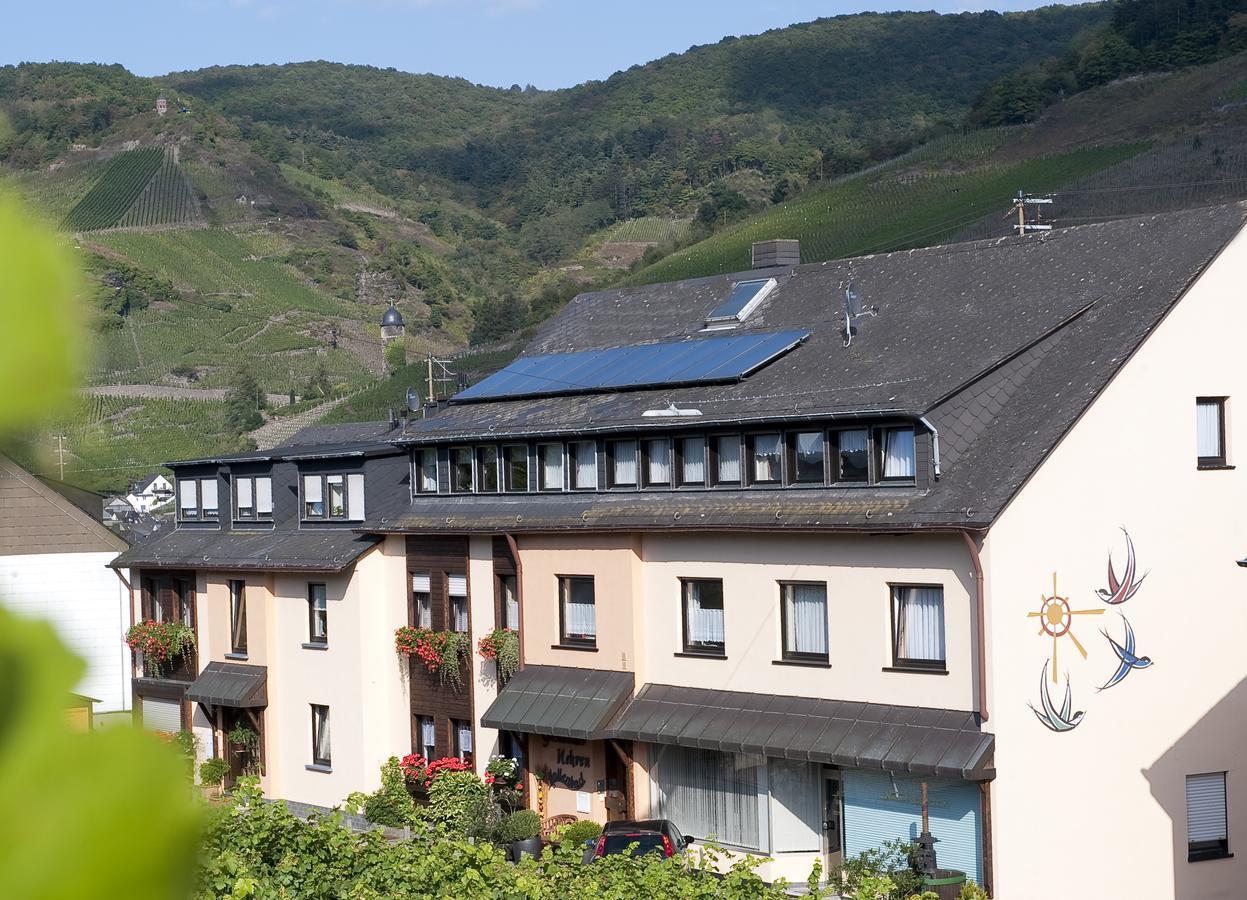 Mosel-Appartements Nehren 摩泽尔河畔的泽尔 外观 照片